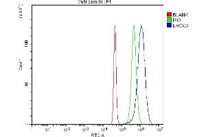 Flow Cytometry analysis of SiHa cells using anti-XPB/ERCC3 antibody (ABIN7602287).