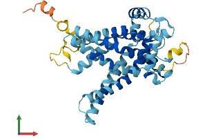 Protein Structure (PS) image for Solute Carrier Family 25, Member 27 (SLC25A27) (AA 1-323) protein (His tag) (ABIN7544951)
