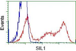 Image no. 2 for anti-Nucleotide Exchange Factor SIL1 (SIL1) antibody (ABIN1496809) (SIL1 抗体)