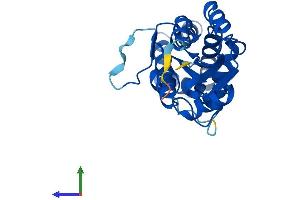 AlphaFold protein structure predicition of Human Recombinant NANP Protein, UniprotID Q8TBE9
