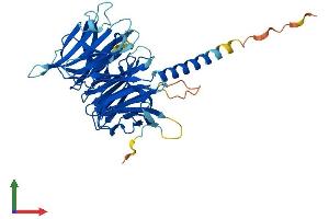 Protein Structure (PS) image for Kaptin (Actin Binding Protein) (KPTN) (AA 1-430) protein (His tag) (ABIN7559837)