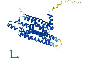AlphaFold protein structure predicition of Human Recombinant ADORA1 Protein, UniprotID P30542