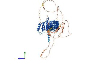 Protein Structure (PS) image for Protein Phosphatase 1, Regulatory Subunit 37 (PPP1R37) (AA 1-712) protein (His tag) (ABIN7558725)