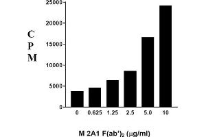 Image no. 1 for Mouse anti-Rat IgM (Chain mu) antibody (ABIN371250)