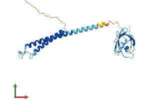 Protein Structure (PS) image for Proteasome (Prosome, Macropain) 26S Subunit, Non-ATPase, 9 (PSMD9) (AA 1-223) protein (His tag) (ABIN7551053)