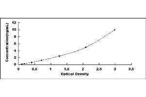 Typical standard curve (Claudin 2 ELISA 试剂盒)