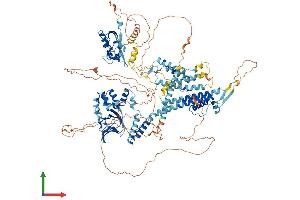Protein Structure (PS) image for Potassium Voltage-Gated Channel, Subfamily H (Eag-Related), Member 3 (Kcnh3) (AA 1-1083) protein (His tag) (ABIN7554356)