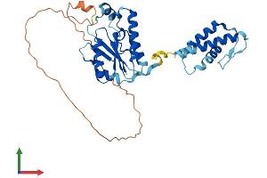 AlphaFold protein structure predicition of Mouse Recombinant Kti12 Protein, UniprotID Q9D1R2