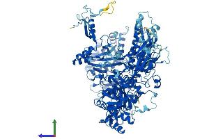 Protein Structure (PS) image for Polymerase (RNA) I Polypeptide B, 128kDa (POLR1B) (AA 1-1135) protein (His tag) (ABIN7563533)