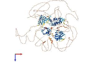 RGS3 Protein (AA 1-1198) (His tag)