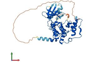 Protein Structure (PS) image for Cyclin-Dependent Kinase-Like 1 (CDC2-Related Kinase) (CDKL1) (AA 1-357) protein (His tag) (ABIN7553065)