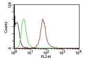 Flow Cytometric analysis of human Pan-Cytokeratins on HeLa cells. (KRT77, KRT76 抗体 (PE))