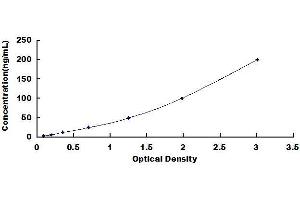 Typical standard curve (FTH1 ELISA 试剂盒)