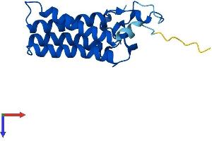 Protein Structure (PS) image for ORM1-Like 2 (ORMDL2) (AA 1-153) protein (His tag) (ABIN7550328)