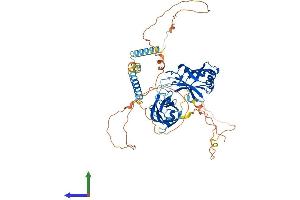 AlphaFold protein structure predicition of Human Recombinant SYT3 Protein, UniprotID Q9BQG1 (Synaptotagmin 3 Protein (AA 1-590) (His tag))