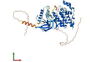 AlphaFold protein structure predicition of Mouse Recombinant Mapk10 Protein, UniprotID Q61831 (MAPK10 Protein (AA 1-464) (His tag))