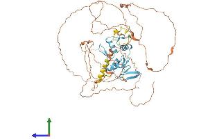 Protein Structure (PS) image for Zinc Finger Protein 683 (ZNF683) (AA 1-524) protein (His tag) (ABIN7545351)