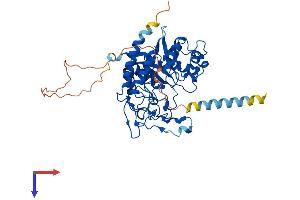 MANEA Protein (AA 1-462) (His tag)