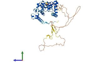 Protein Structure (PS) image for Usher Syndrome 1G (Autosomal Recessive) (USH1G) (AA 1-461) protein (His tag) (ABIN7544996)