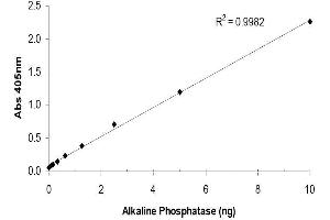 ELISA image for SensoLyte® pNPP Alkaline Phosphatase Assay Kit (ABIN1882399)