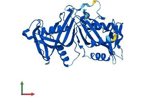 Protein Structure (PS) image for Nudix (Nucleoside Diphosphate Linked Moiety X)-Type Motif 18 (NUDT18) (AA 1-323) protein (His tag) (ABIN7557140)