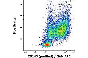Flow cytometry surface staining pattern of human GM-CSF + IL-4 stimulated peripheral blood mononuclear cells stained using anti-human CD143 (5-369) purified antibody (concentration in sample 0,6 μg/mL) GAM APC. (Angiotensin I Converting Enzyme 1 抗体)