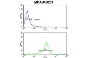 Flow Cytometry (FACS) image for anti-BCL2-Related Protein A1 (BCL2A1) antibody (ABIN2997079) (BCL2A1 抗体)