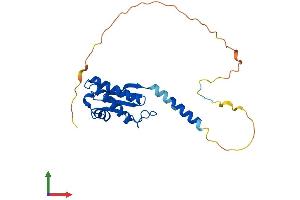 AlphaFold protein structure predicition of Human Recombinant BTG4 Protein, UniprotID Q9NY30 (BTG4 Protein (AA 1-223) (His tag))