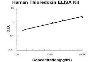 Human Thioredoxin PicoKine ELISA Kit standard curve