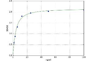 A typical standard curve
