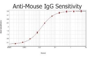 ELISA results of purified Rabbit anti-Mouse IgG Antibody tested against purified Mouse IgG.