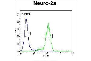Flow cytometric analysis of Neuro-2a cells (right histogram) compared to a negative control cell (left histogram). (VWA3B 抗体  (C-Term))