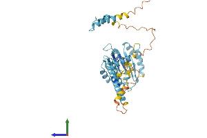 Protein Structure (PS) image for Proteasome (Prosome, Macropain) 26S Subunit, Non-ATPase, 4 (Psmd4) (AA 1-377) protein (His tag) (ABIN7551104)