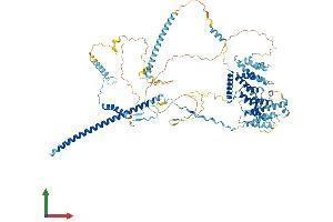 Protein Structure (PS) image for NOP14 Nucleolar Protein (Nop14) (AA 1-857) protein (His tag) (ABIN7549772)