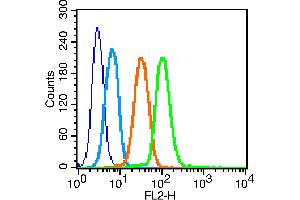 K562 cells probed with GLUT4 Polyclonal Antibody, unconjugated  at 1:100 dilution for 30 minutes compared to control cells (blue) and isotype control (orange) (GLUT4 抗体  (AA 401-509))