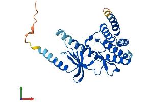 AlphaFold protein structure predicition of Human Recombinant TP53RK Protein, UniprotID Q96S44