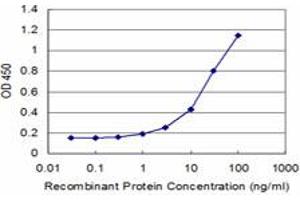 Detection limit for recombinant GST tagged RAG2 is approximately 1ng/ml as a capture antibody. (RAG2 抗体  (AA 428-527))