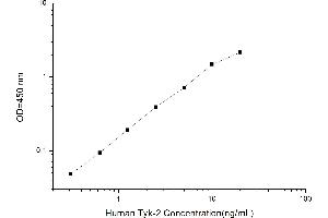 Typical standard curve (TYK2 ELISA 试剂盒)