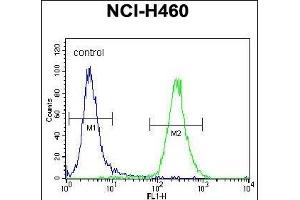 SOD2 Antibody (ABIN6242884 and ABIN6578999) flow cytometric analysis of NCI- cells (right histogram) compared to a negative control cell (left histogram).