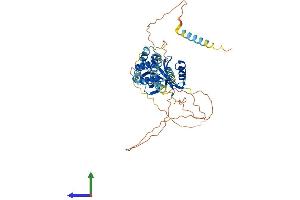 Protein Structure (PS) image for Cerebral Cavernous Malformation 2 (CCM2) (AA 1-453) protein (His tag) (ABIN7559524)