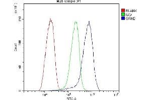 Flow Cytometry analysis of HepG2 cells using anti-GRM2 antibody (ABIN7601733). (GRM2 抗体  (AA 439-710))