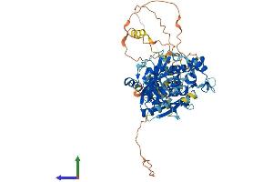 AlphaFold protein structure predicition of Human Recombinant PARP6 Protein, UniprotID Q2NL67