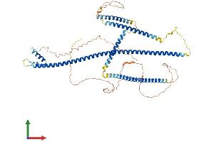 Protein Structure (PS) image for Synovial Sarcoma, X Breakpoint 2 Interacting Protein (SSX2IP) (AA 1-615) protein (His tag) (ABIN7564724)