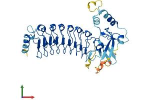 Protein Structure (PS) image for Leucine Rich Repeat Containing 28 (LRRC28) (AA 1-367) protein (His tag) (ABIN7557099)