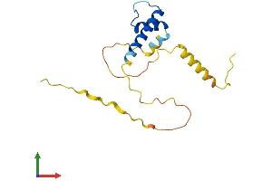 Protein Structure (PS) image for Inhibitor of DNA Binding 1, Dominant Negative Helix-Loop-Helix Protein (ID1) (AA 1-155) protein (His tag) (ABIN7548492)