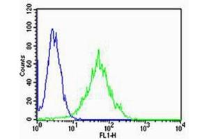 Flow cytometric analysis of Hela cells using PSEN2(Presenilin-2 NTF subunit) Antibody (N-term)(green, Cat(ABIN1944732 and ABIN2838558)) compared to an isotype control of rabbit IgG(blue). (Presenilin 2 抗体  (N-Term))