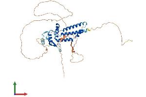 AlphaFold protein structure predicition of Human Recombinant TFAP2D Protein, UniprotID Q7Z6R9