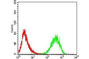Flow Cytometry (FACS) image for anti-CD99 (CD99) (AA 1-185) antibody (ABIN7193657)