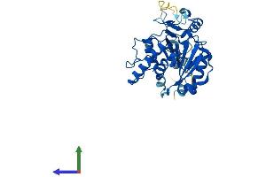 AlphaFold protein structure predicition of Mouse Recombinant A3galt2 Protein, UniprotID Q3V1N9 (alpha 1,3-Galactosyltransferase 2 (A3GALT2) (AA 1-370) protein (His tag))