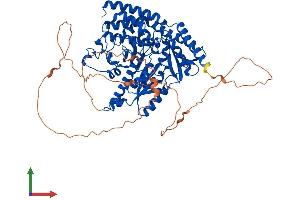 Protein Structure (PS) image for Histidine Decarboxylase (HDC) (AA 1-662) protein (His tag) (ABIN7547062)